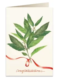 tassotti-karnet-b6-z-koperta-gratulacje-liscie-125x183-mm