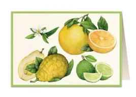 tassotti-karnet-b6-z-koperta-125x183-mm-cytrusy-200-g-m