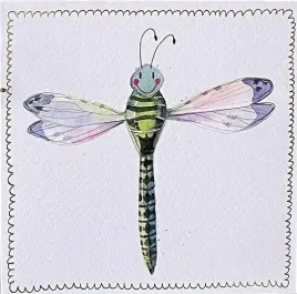 karnet-okolicznosciowy-wazka-160x160-mm-alex-clark-bez-tekstu