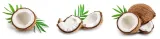 wiorki-kokosowe-medium-200g-ecobi-postac-wiorki