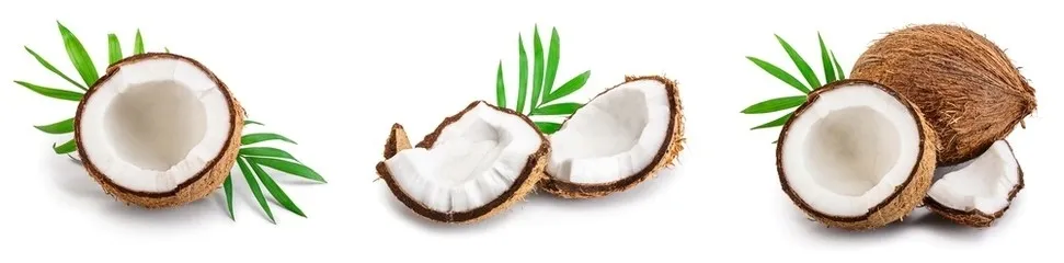 wiorki-kokosowe-medium-200g-ecobi