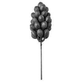 winogrono-kute-h160-x-l60-mm