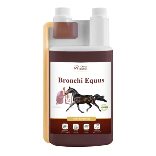 over-horse-bronchi-equus-1l