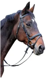 oglowie-dla-konia-classic-czarny-cob-covalliero