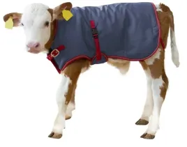derka-dla-cielaka-termoplus-dl-70cm-granatowa-kerbl
