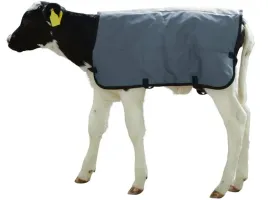 derka-dla-cielaka-ripstopp-dl-70cm-szara-kerbl