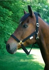 kantar-dla-konia-classic-czarny-pony-covalliero