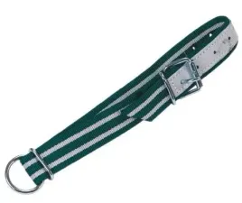 obroza-dla-bydla-classic-130x4-bialy-zielony-kerbl
