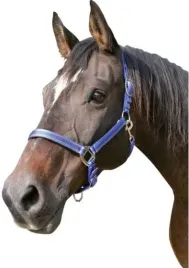 kantar-dla-konia-mustang-niebieski-full-covalliero