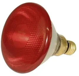 zarowka-promiennik-kerbl-175w-czerwona-kwoka