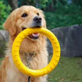 zestaw-zabawek-dla-psa-4w1-frisbee-ringo-pilka-eva-gryzak-trening-u057