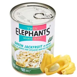 jackfruit-szarpany-chlebowiec-zielony-w-zalewie-twin-elephant-540g
