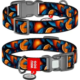 waudog-obroza-nylon-z-qr-pomarancze-m-28-40cm