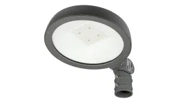 oprawa-uliczna-parkowa-led-line-elida-40w-4000k-120lm-w-100-277v-ac-t3