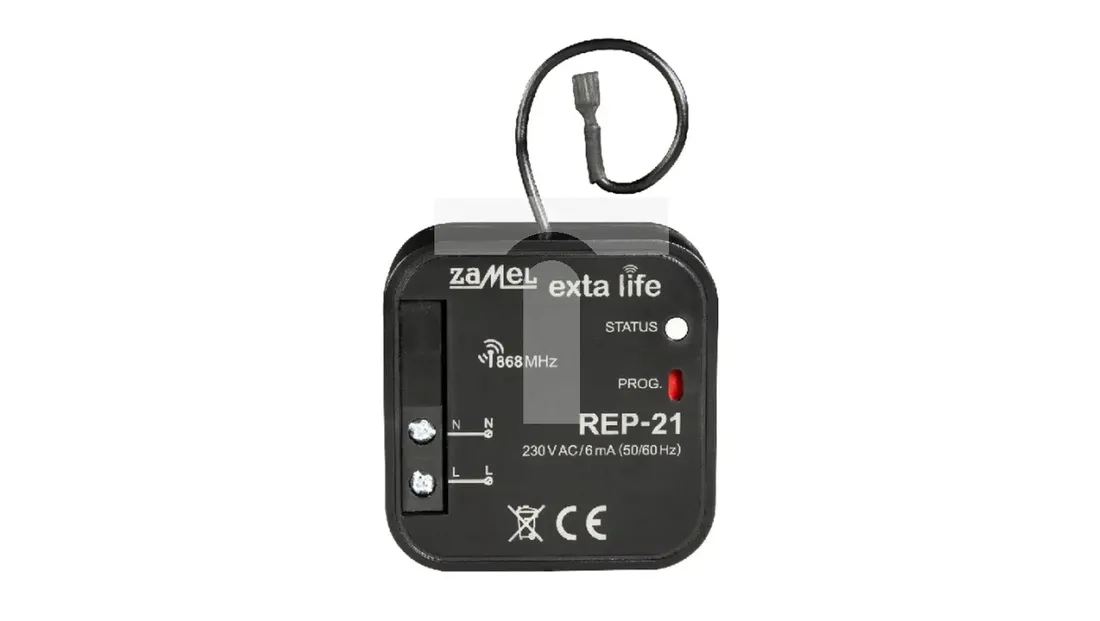 zamel-exta-life