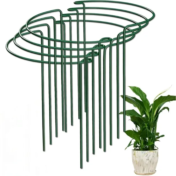 8 szt Podpórki do roślin kwiatów metalowe podpora do roślin MOCNE 60cm DUŻE