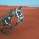 hobby-horse