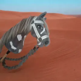 hobby-horse