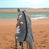 hobby-horse-stan-nowy