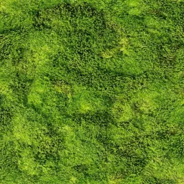 tapeta-imitacja-cegla-porosnieta-mchem-mur-efekt-3d-winylowa-na-flizelinie