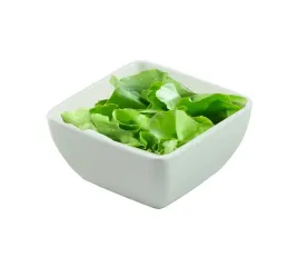 kwadratowa-salaterka-z-melaminy-kremowobiala-127x127x60mm-pure-szron