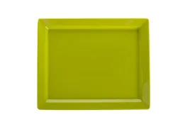 polmisek-taca-bankietowa-z-melaminy-pure-gn-1-1-zielona-530x325x30mm-szron