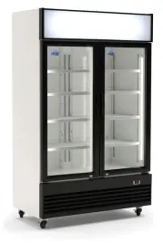 szafa-chlodnicza-2-drzwiowa-przeszklona-witryna-chlodnicza-1000l-lg-1000