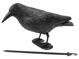 duzy-kruk-odstraszacz-ptakow-golebi-szpakow-36cm