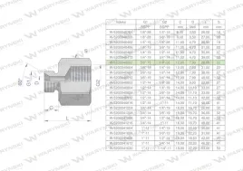 tulejka-roznicowa-hydrauliczna-calowa-ab-3-8-gz-x-1-8-gw-bsp-warynski-spr