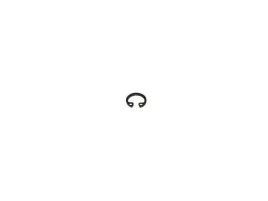 pierscien-segera-wewnetrzny-w10-sprzedawane-po-50-w010