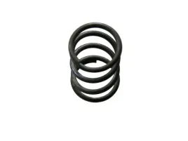 sprezyna-5060020290-bizon-5060020290