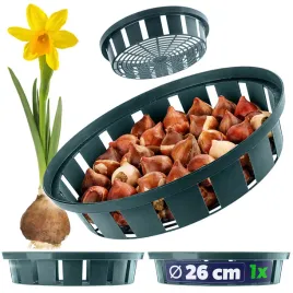 koszyk-oslonka-na-cebule-cebulki-kwiatowe-tulipany-do-sadzenia-oslonki-22cm