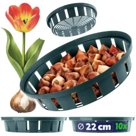 10-szt-koszyk-oslonka-na-cebule-18cm-cebulki-kwiatowe-tulipany-do-sadzenia