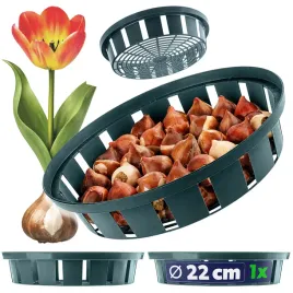 koszyk-oslonka-na-cebule-cebulki-kwiatowe-tulipany-do-sadzenia-oslonki-18cm