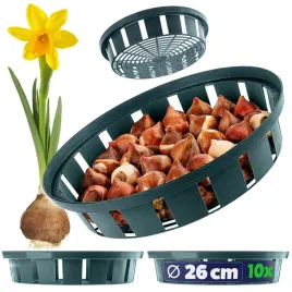 10-szt-koszyk-oslonka-na-cebule-23cm-cebulki-kwiatowe-tulipany-do-sadzenia