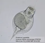 mikroskop-bresser-science-infinity-40x-1000x-stan-nowy-kod-producenta-4007922030791