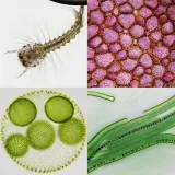 mikroskop-bresser-science-infinity-40x-1000x-stan-nowy-marka-bresser