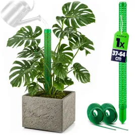 1-szt-tyczka-palik-do-roslin-na-mech-29cm-modulowa-podpora-monstery-zielona