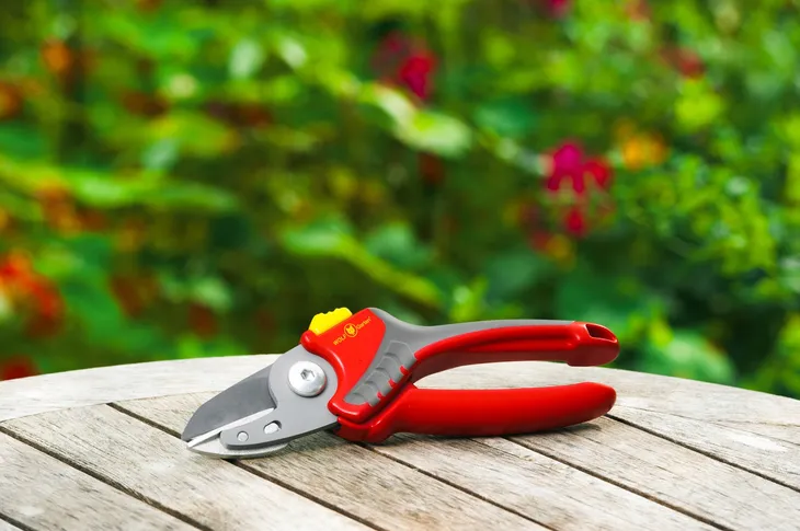 sekator-wolf-garten-comfort-plus-rs-2500-marka-wolf-garten