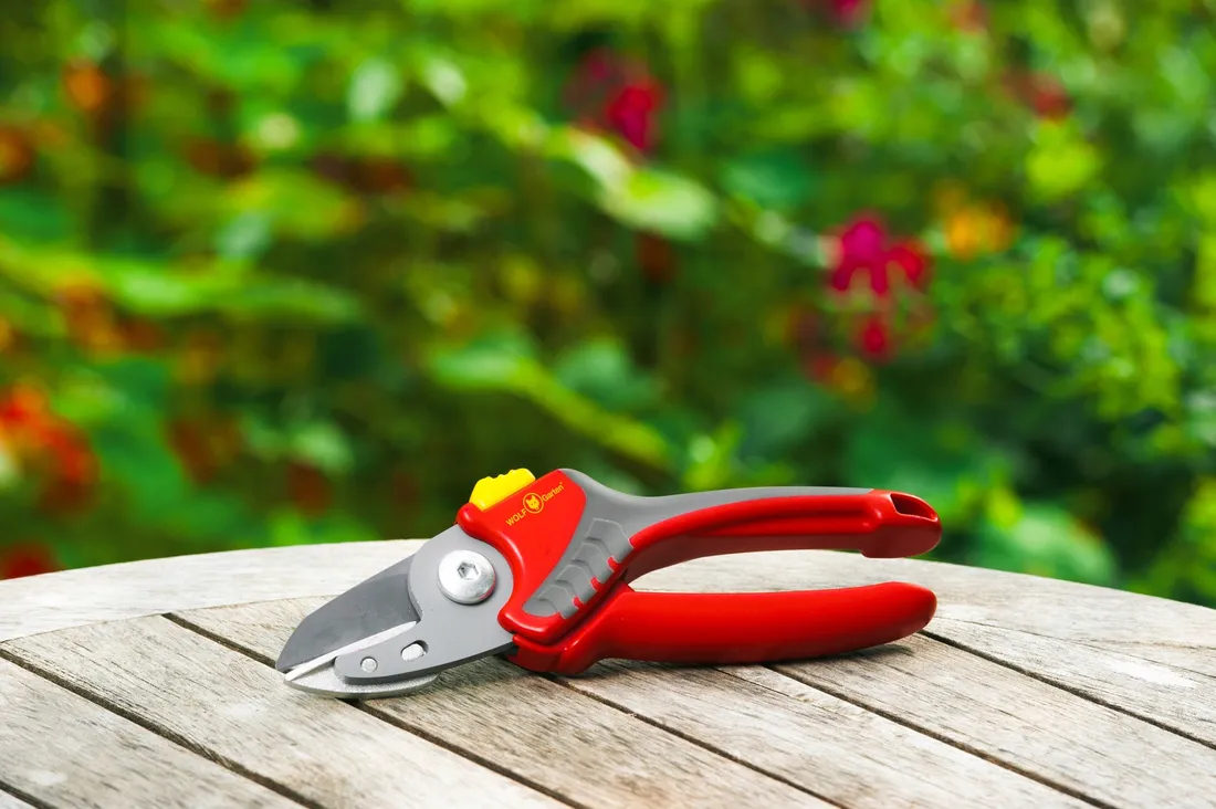 sekator-wolf-garten-comfort-plus-rs-2500