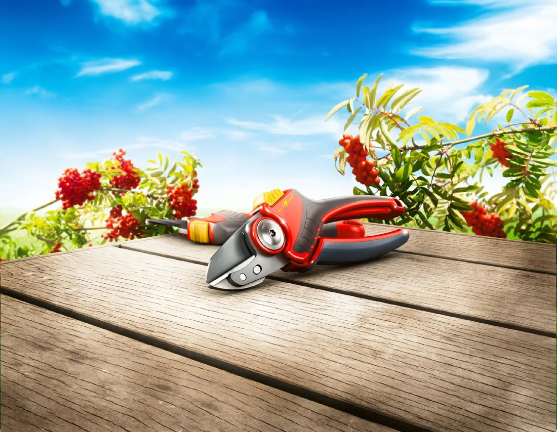sekator-wolf-garten-comfort-plus-rs-2500