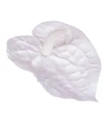 sztuczne-kwiaty-anturium-biale-glowka-kwiatowa-wyrobowa-6-sztuk-rodzaj-glowki-kwiatowe