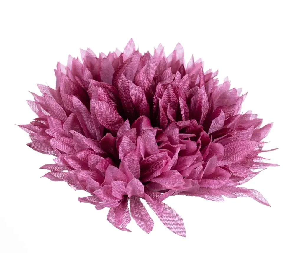 chryzantema-aster-glowka-mauve