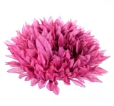 sztuczne-kwiaty-chryzantema-aster-glowka-kwiatowa-mauve-rodzaj-glowki-kwiatowe