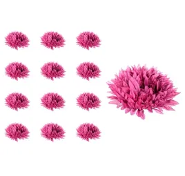 chryzantema-aster-glowka-mauve-12-sztuk