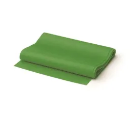 armedical-eb-m35-tasma-reh-sredni-zielen-15cmx2m
