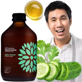kombucha-ogorek-kolendra-bio-fermentowana-herbata-warzona-z-superfoods