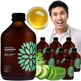 vigo-kombucha-ogorek-kolendra-bio-fermentowana-herbata-warzona-z-superfoods