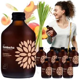kombucha-vigo-brzoskwinia-trawa-cytrynowa-8x330ml-bio-orzezwienie