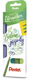 pentel-sign-brush-pen-pisaki-do-kaligrafii-liternictwa-4-sztuki-zielone
